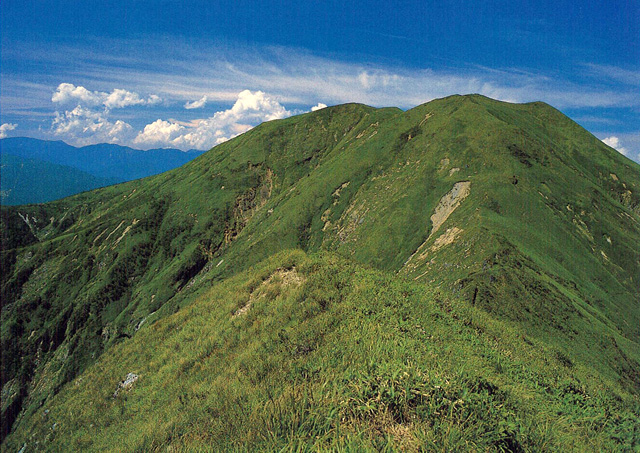 平標山 たいらつぴょうやま 標高1 984ｍ 上信越 三国山脈 Yamakei Online 山と溪谷社