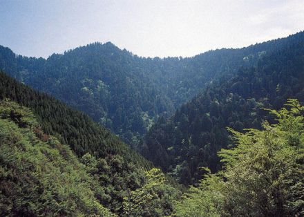 千本山