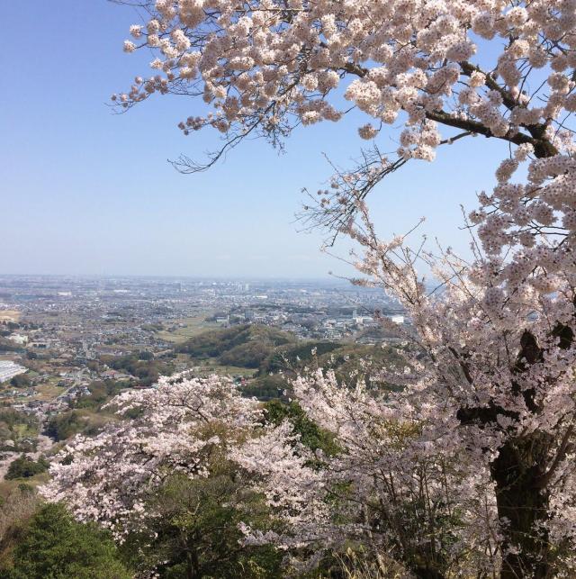 白山 はくさん 標高284ｍ 関東 Yamakei Online 山と溪谷社