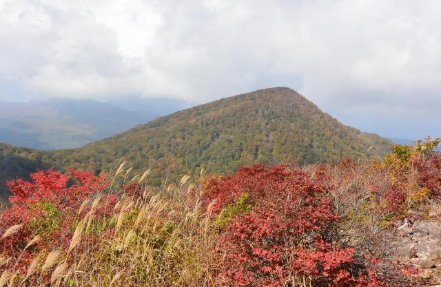 北泉ヶ岳 きたいずみがたけ 標高1 253ｍ 東北 Yamakei Online 山と溪谷社