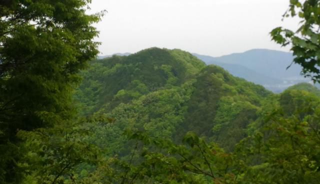 高柄山 たかつかやま 標高733ｍ 関東 Yamakei Online 山と溪谷社