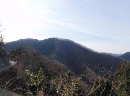 矢平山