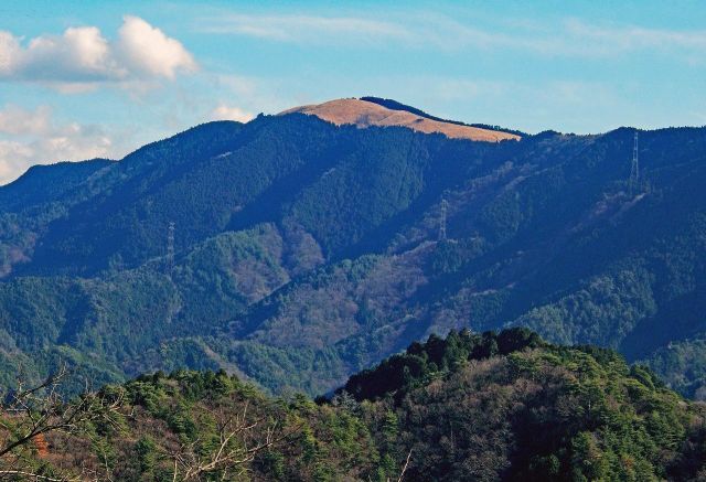 岩湧山 大阪平野を一望するススキの原へ ヤマケイオンライン 山と溪谷社