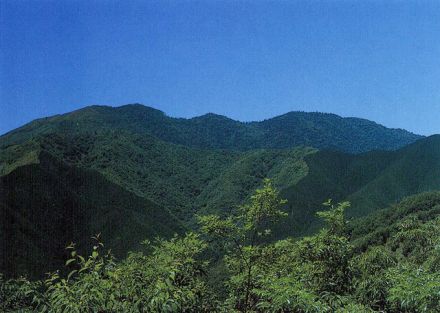安蔵寺山