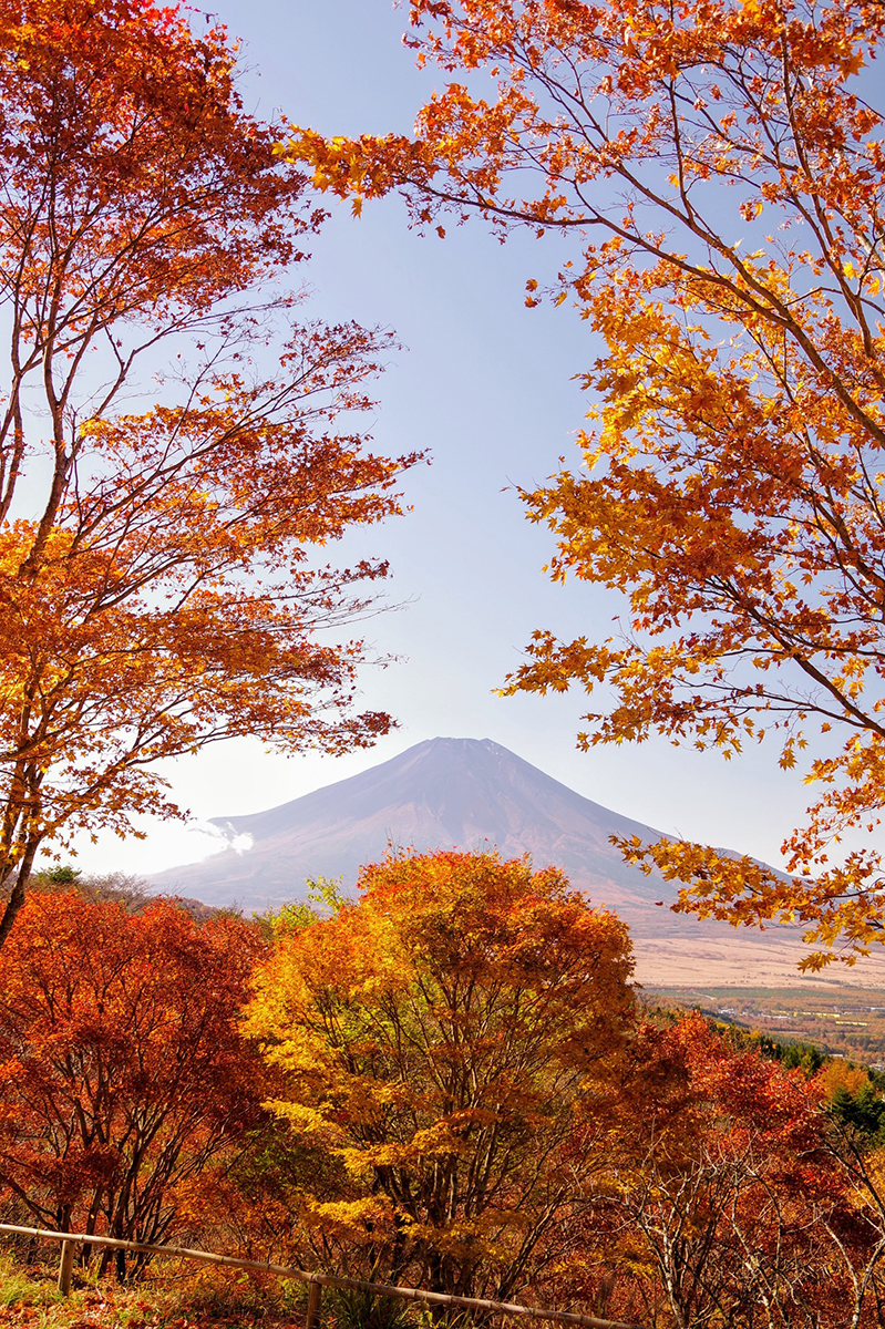 美しい紅葉に出会うために 紅葉の見ごろ を9月の気温から予測してみよう Yamaya ヤマケイオンライン 山と渓谷社