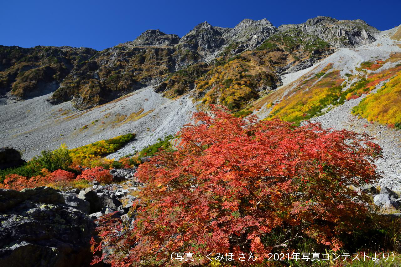 紅葉の山へ行こう 紅葉登山の紅葉スポット 山域 地域別 最適期 とおすすめポイントを紹介 北海道 Yamakei Online 山と溪谷社