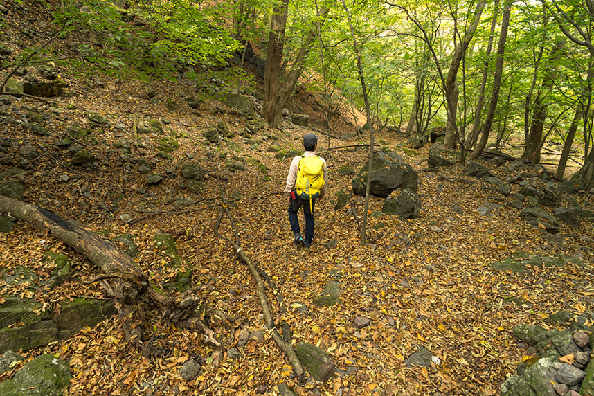 秋山は、登山道が落ち葉で覆われてしまうため、道迷いのリスクが高まる