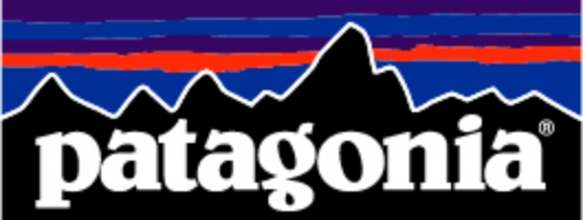 patagoniaロゴ