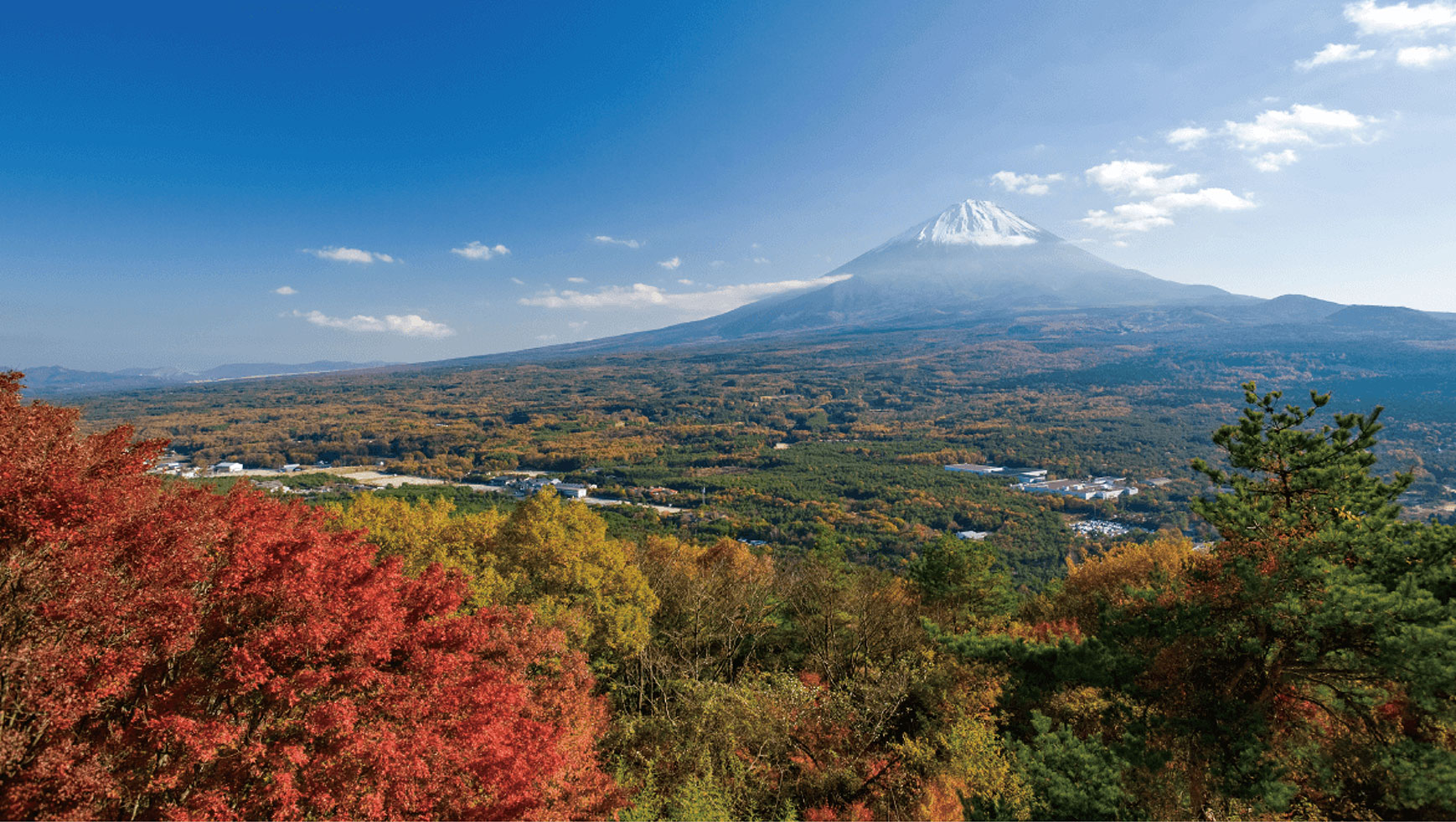 紅葉台展望レストハウスから富士山を望む