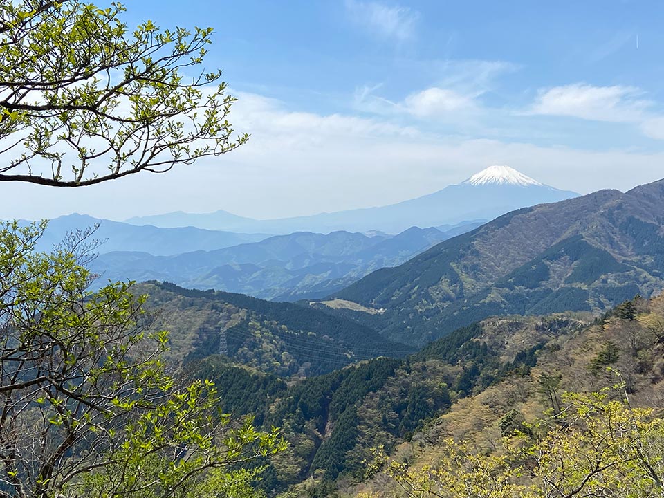 ドイター フューチュラ Deuter FUTURA 神奈川県大山