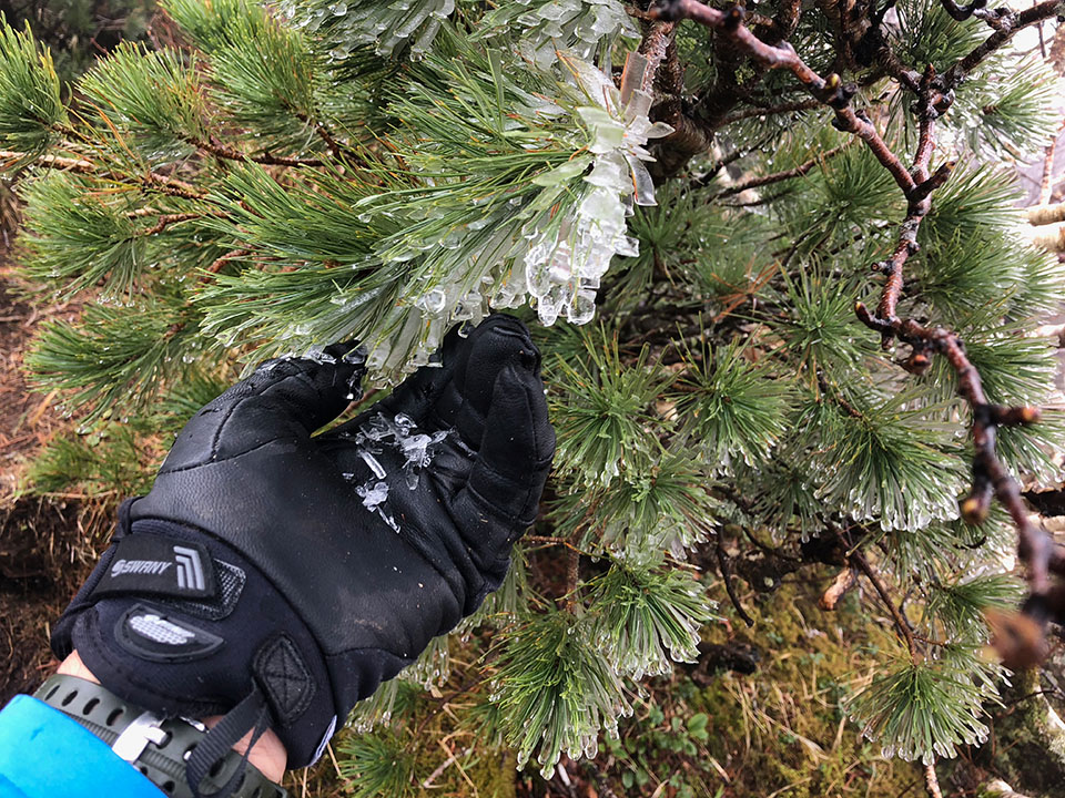 北海道・羅臼岳、斜里岳、知床硫黄山　スワニー TR-706 Trail Flexor Glove